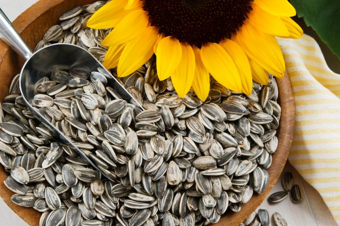 Stress and sunflower seeds